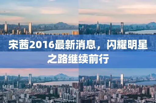 宋茜2016最新消息,閃耀明星之路繼續前行
