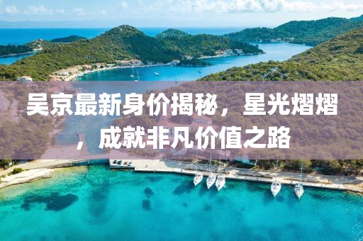 吳京最新身價揭秘,星光熠熠,成就非凡價值之路