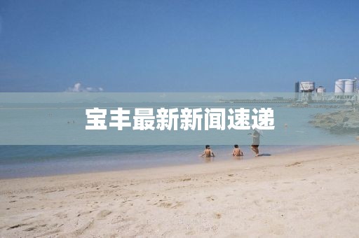 寶豐最新新聞速遞