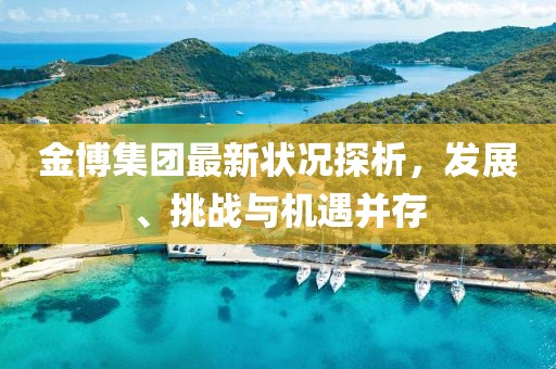 金博集團最新狀況探析,發(fā)展、挑戰(zhàn)與機遇并存