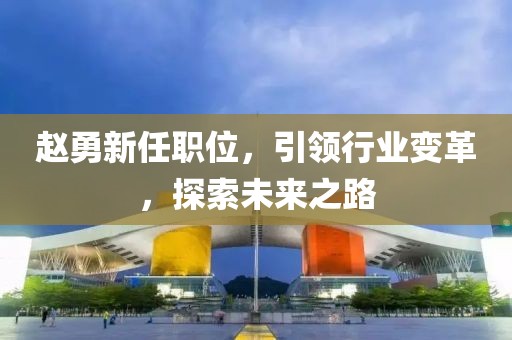 趙勇新任職位,引領行業變革,探索未來之路