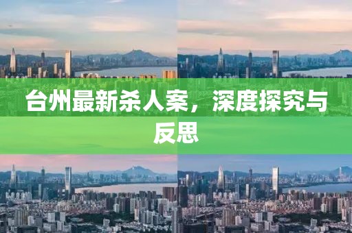 臺州最新殺人案,深度探究與反思