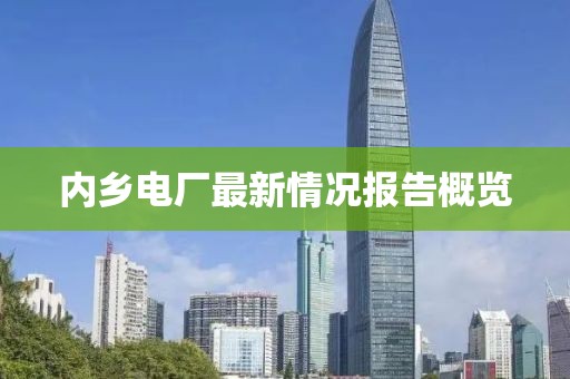 內鄉電廠最新情況報告概覽