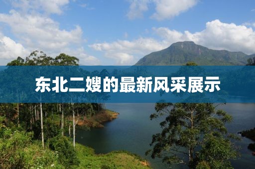 東北二嫂的最新風采展示