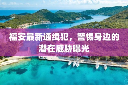 福安最新通緝犯,警惕身邊的潛在威脅曝光