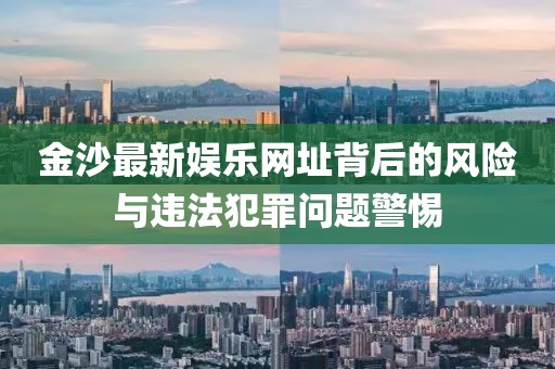 金沙最新娛樂網址背后的風險與違法犯罪問題警惕