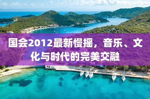 國(guó)會(huì)2012最新慢搖,音樂、文化與時(shí)代的完美交融