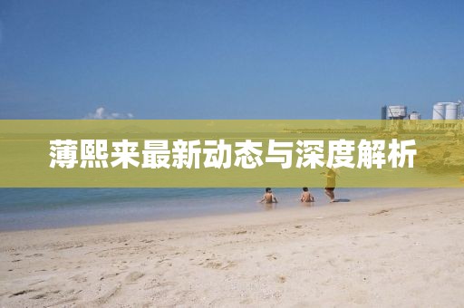 薄熙來最新動(dòng)態(tài)與深度解析