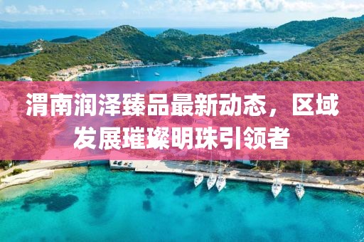 渭南潤澤臻品最新動態,區域發展璀璨明珠引領者