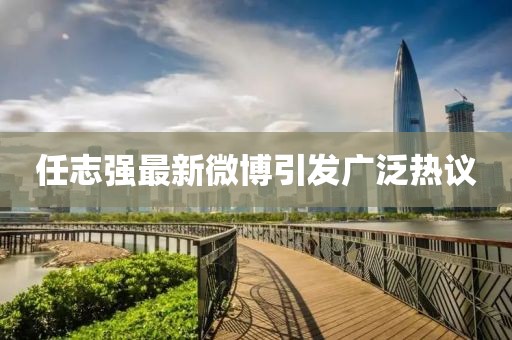 任志強最新微博引發廣泛熱議