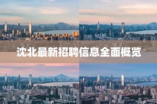 沈北最新招聘信息全面概覽