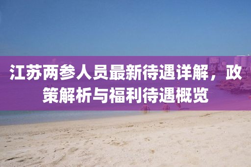 江蘇兩參人員最新待遇詳解,政策解析與福利待遇概覽