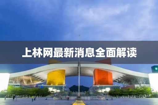 上林網最新消息全面解讀