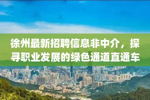 徐州最新招聘信息非中介,探尋職業發展的綠色通道直通車