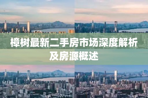 樟樹最新二手房市場深度解析及房源概述
