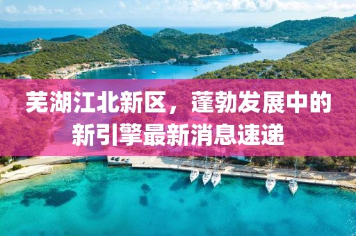 蕪湖江北新區,蓬勃發展中的新引擎最新消息速遞