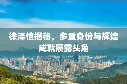 徐澤愷揭秘,多重身份與輝煌成就展露頭角