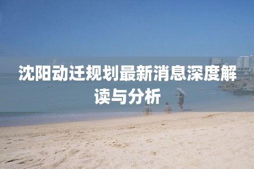 沈陽動遷規劃最新消息深度解讀與分析