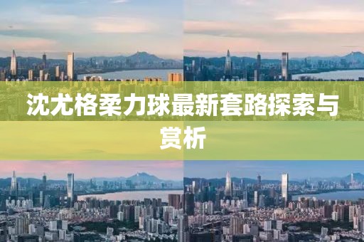 沈尤格柔力球最新套路探索與賞析