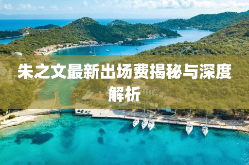 朱之文最新出場費揭秘與深度解析