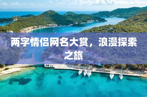 兩字情侶網名大賞,浪漫探索之旅