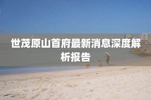 萌面人 第19頁