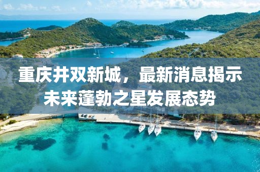 重慶井雙新城,最新消息揭示未來蓬勃之星發展態勢