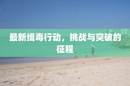 最新緝毒行動,挑戰與突破的征程