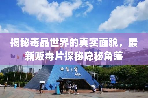 揭秘毒品世界的真實面貌,最新販毒片探秘隱秘角落