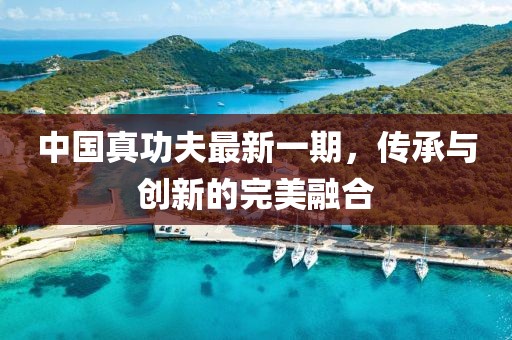 中國真功夫最新一期,傳承與創(chuàng)新的完美融合