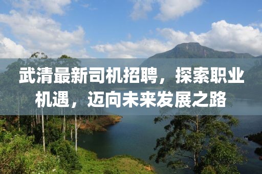 武清最新司機招聘,探索職業機遇,邁向未來發展之路