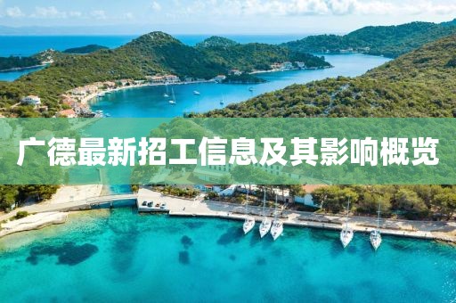 廣德最新招工信息及其影響概覽