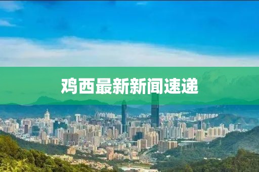雞西最新新聞速遞