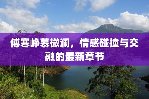 傅寒崢慕微瀾,情感碰撞與交融的最新章節