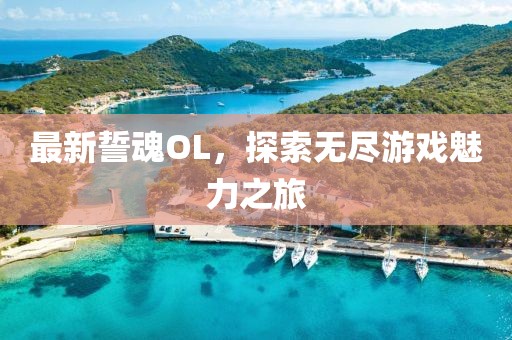 最新誓魂OL,探索無盡游戲魅力之旅