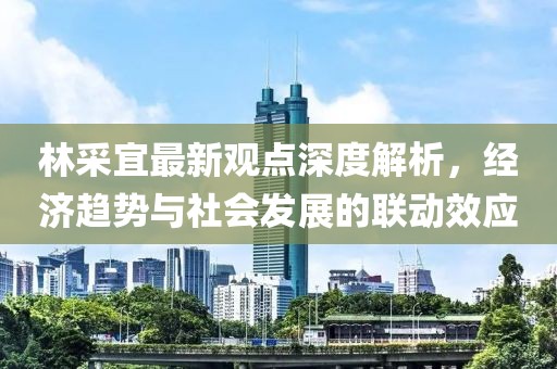 林采宜最新觀點深度解析,經濟趨勢與社會發展的聯動效應