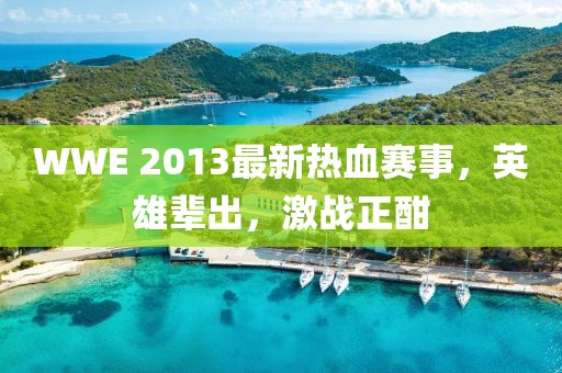 WWE 2013最新熱血賽事,英雄輩出,激戰(zhàn)正酣