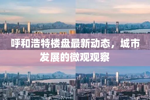 呼和浩特樓盤(pán)最新動(dòng)態(tài),城市發(fā)展的微觀觀察