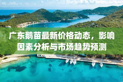 廣東鵝苗最新價格動態(tài),影響因素分析與市場趨勢預(yù)測