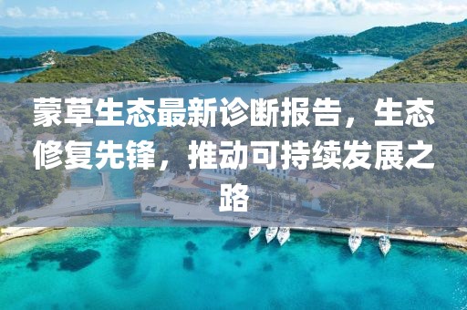 蒙草生態最新診斷報告,生態修復先鋒,推動可持續發展之路