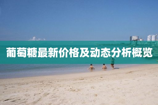 葡萄糖最新價格及動態(tài)分析概覽