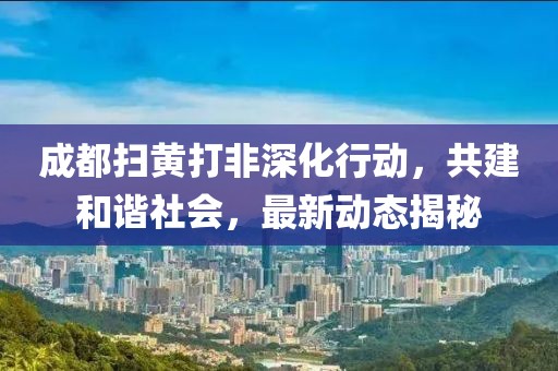 成都掃黃打非深化行動，共建和諧社會，最新動態揭秘