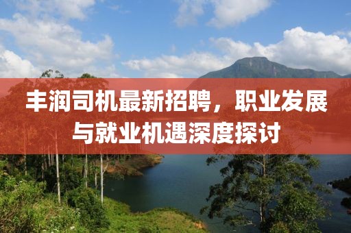 豐潤司機最新招聘,職業發展與就業機遇深度探討