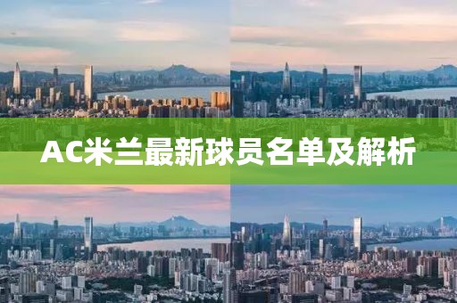 AC米蘭最新球員名單及解析