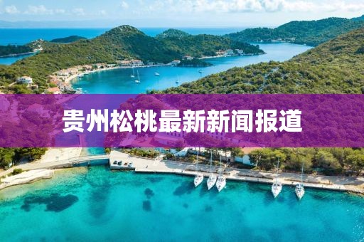 貴州松桃最新新聞報道