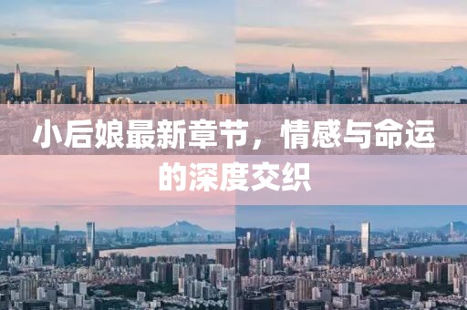 小后娘最新章節,情感與命運的深度交織
