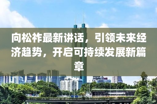 向松祚最新講話,引領未來經濟趨勢,開啟可持續發展新篇章