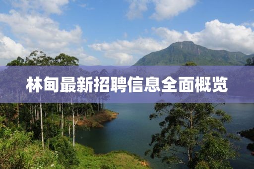 林甸最新招聘信息全面概覽
