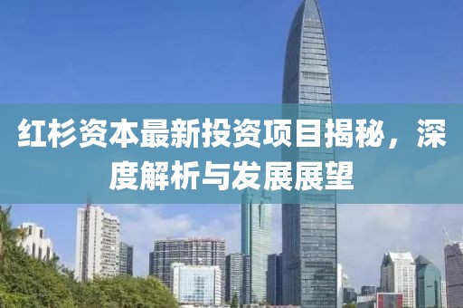紅杉資本最新投資項目揭秘,深度解析與發展展望