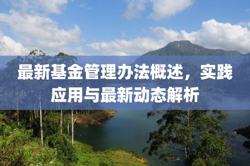 最新基金管理辦法概述,實踐應用與最新動態(tài)解析